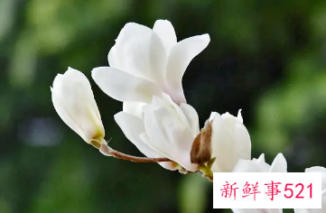 很有寓意的网名