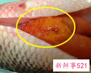 吃鱼籽的好处和坏处