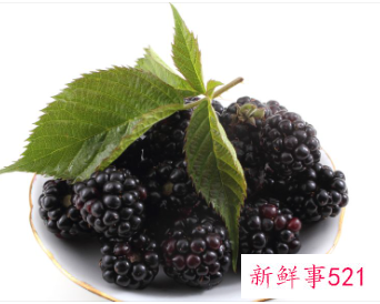 孕妇吃桑葚的好处