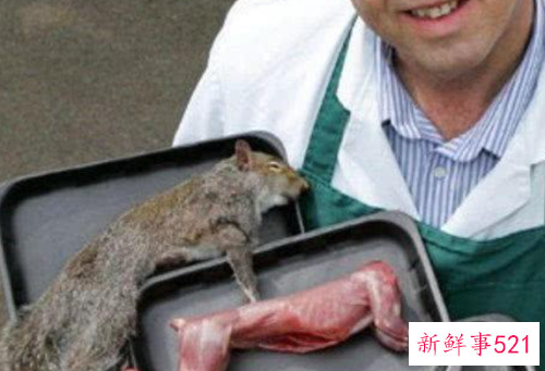 世界最臭名昭著的动物排行