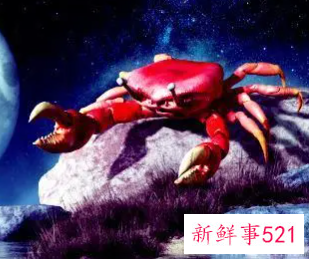 双鱼男和巨蟹男谁更爱天蝎女