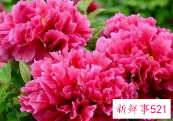 很有寓意的网名