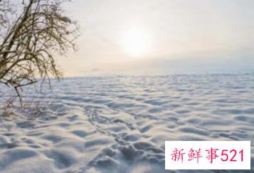梦见冰雪有什么征兆