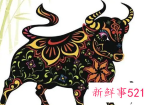 女的属牛和什么最配婚