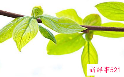 为什么优秀的人都有个性