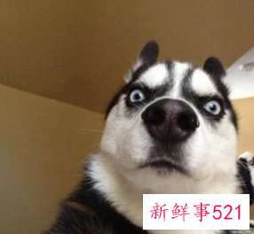 搞笑又简单的暗号