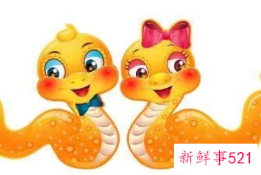 属蛇男和属鸡女适合做夫妻吗