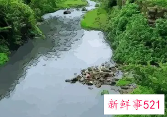 梦见臭水沟边走好不好