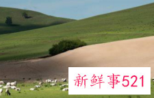 属羊人在牛年生孩子可以吗