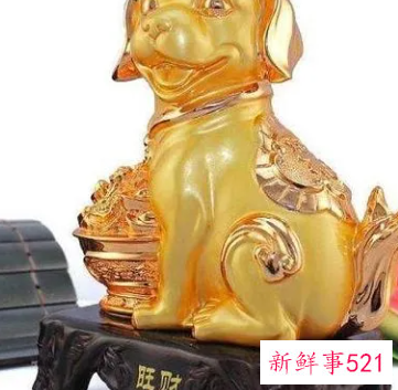 属狗人适合什么行业