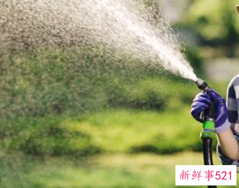 梦见灌溉浇水浇地有什么征兆