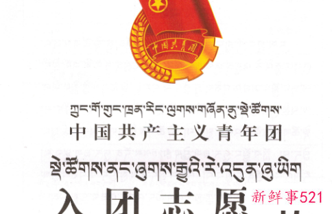 大学查未满13岁入团