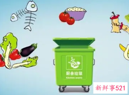 绿植叶子属于什么垃圾分类