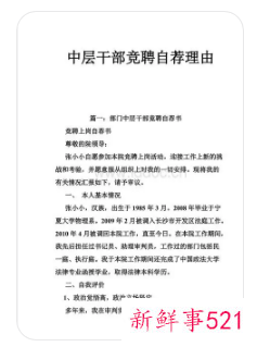 中层干部自荐理由