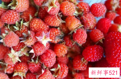 树莓的营养价值与禁忌