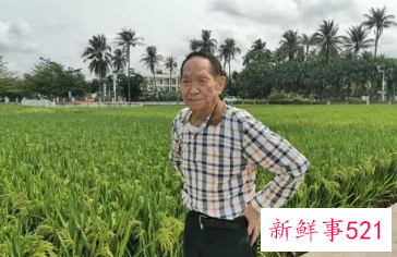 袁隆平生前常去理发店关门半年