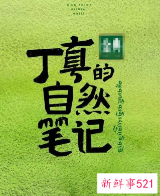 薇娅带丁真游西湖，青岛隔空喊话：丁真第二次去杭州了