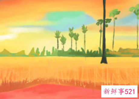 性格最招人喜欢的星座男