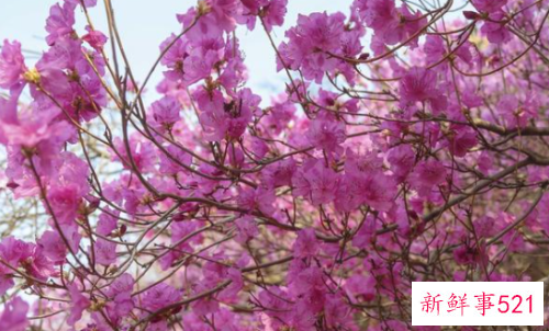 感情中的你会让人刻骨铭心吗