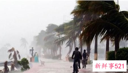 飓风龙卷风台风区别