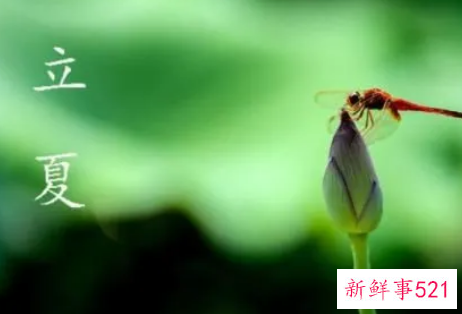 立夏节气的气候特点