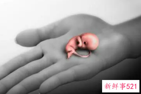 怎么样能快速怀孕