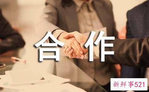 不适合合作的星座搭档前5名