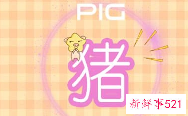 2022年猪的运势