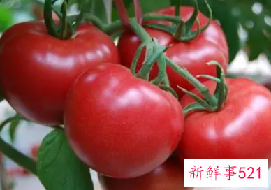 预防青春痘的食物方法