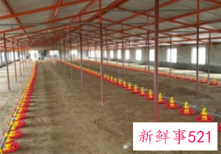 办厂创业好项目