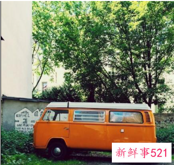 唯一会宠白羊座的星座