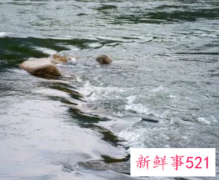 梦见江水是什么征兆