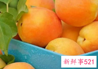 不适合吃杏子的人群