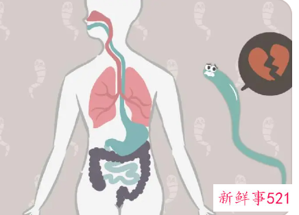 体内有寄生虫可以不管吗