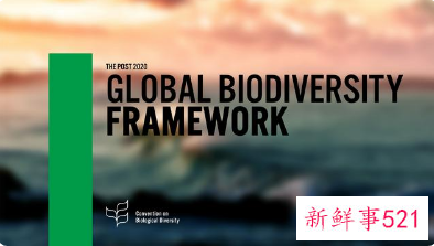 联合国生物多样性峰会举办时间