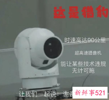 中国奥运代表队第二金失而复得，全网都在谢谢“猎豹”