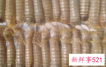 冷冻皮皮虾怎么清洗