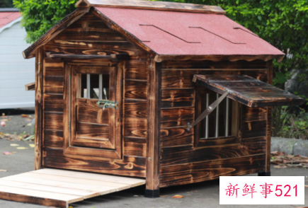 梦见狗窝是什么意思