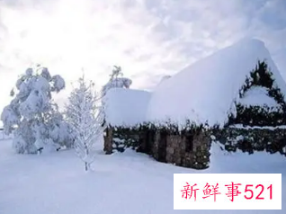 在夏天梦见冬天