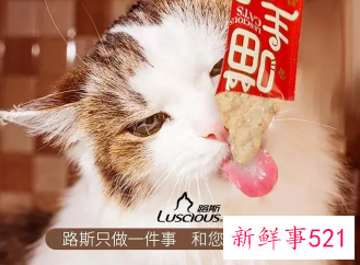 路斯股份成北交所“宠物食品第一股”