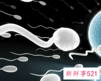 正常精子成活率