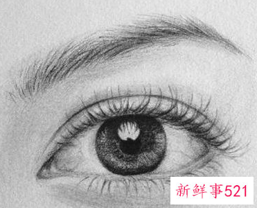 素描画眼睛的步骤图 眉毛