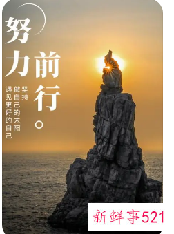 奋斗励志语正能量