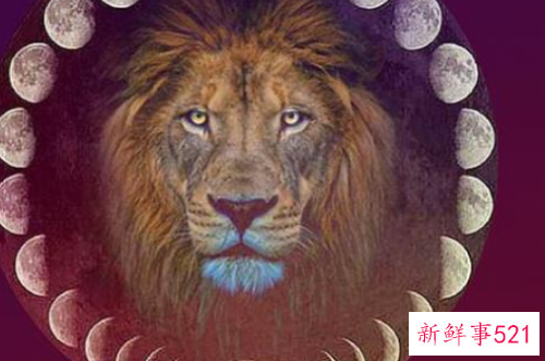 最强大的五大星座