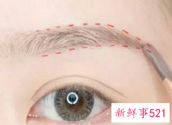 学化妆新手零基础教程