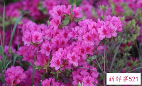 感情中的你会让人刻骨铭心吗