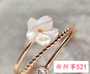 十二星座专属戒指图片