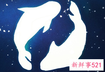 双鱼男对爱而不得的女人