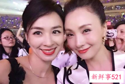 张庭与陶虹是什么关系