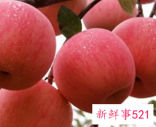 各种水果的好处与功效